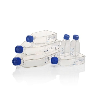 Nunc EasyFlasksTM Poly-D-Lysine(多聚D赖氨酸)预包被175cm2，175cm2 PDL EZ Flask Filt，132705，Nunc
