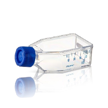 T25 EasYFlask，Supra 表面，实心盖，10 个/包，156374，Nunc