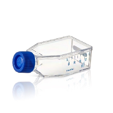 T25 EasYFlask，Supra 表面，过滤盖，10 个/包，156372，Nunc