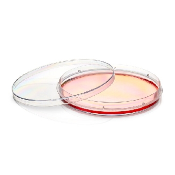 150mm EasYDish，Supra 表面，10 个/包，150478，Nunc