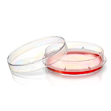 60mm EasYDish，Supra 表面，10 个/包，150472，Nunc