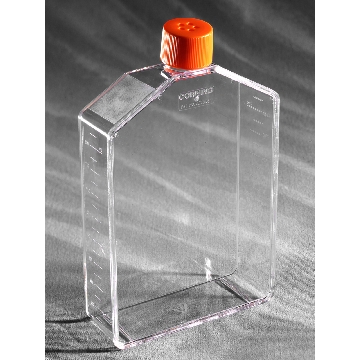 培养瓶，225cm²，直角角度颈，透气盖，PS（聚苯乙烯）材质，灭菌，大包装，5个/包/5包/箱，FLASK,225CM,ANG,VENT,PS,S,BK,5/25，型号431082，Corning，康宁