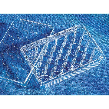 24孔标准透明板，带盖，灭菌，单独包装，1个/包/100包/箱，PLT,24WL,FB,TCT,W/LID,S,IND,1/100，型号3524，Corning，康宁