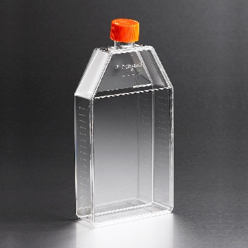 培养瓶，150cm²，直角斜颈（正方斜口），透气盖，PS（聚苯乙烯）材质，灭菌，大包装，5个/包/10包/箱，FLASK,150CM,CANT,VENT,PS,S,BK,5/50，型号430825T，Corning，康宁