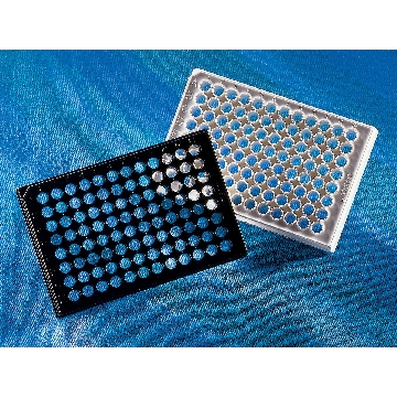 96孔板，白色，透明圆底，，带盖，灭菌，单个包装，，1个/包/48包/箱，PLT,96WL,FB,WCB,TCT,W/LID,S,IND,1/48，型号3610，Corning，康宁
