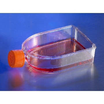 培养瓶，75cm2，超低吸附，直角，透气盖，4个/包/6包/箱，FLASK,75CM,ULTRA LOW ATTACH,CANTED NECK,VENT CAP,S,BK,4/24，型号3814，Corning，康宁