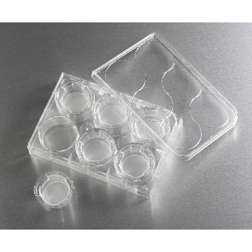 Transwell-膜嵌套，24mm膜直径，0.4um孔径PE（聚酯）膜，TC表面，灭菌，6个/包/4包/箱，TW CLR,24MM,0.4UM,TCT,PE,S,6PL/24，型号3450，Corning，康宁