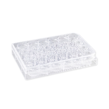 Transwell-24膜嵌套，6.5mm直径，5.0um孔径PC膜，TC表面，PC（聚碳酸酯）灭菌，12个/包/4包/箱，TW,6.5MM,5.0UM,TCT,PC,S,12PL/48，型号3421，Corning，康宁