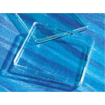 培养皿，245X245MM，TC表面，PS（聚苯乙烯）材质，大包装，（cf 430599/430167/430293/431110/431112），4个/包/4包/箱，DISH,245X245MM,TCT,PS,S,BK,4/16，型号431110，Corning，康宁