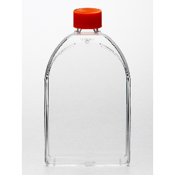 培养瓶，150cm²，直角斜颈，密封盖，PS（聚苯乙烯）材质，灭菌，散装，5个/包/10包/箱，FLASK,150CM,CANT,PLG,PS,S,BK,5/50，型号430823，Corning，康宁
