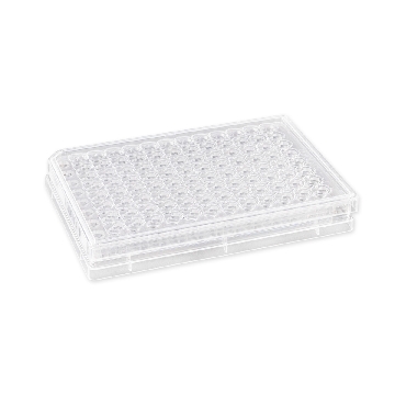 HTS，TRANSWELL-96系统，8.0uM孔径，PET(聚酯）膜，TC表面，接受盘，带盖，大包装(3374/3384)，4个/包/2包/箱，TRANSWELL,96WL,HTS,8.0UM,PET,TCT,NT,S,BK,4/8，型号3384，Corning，康宁