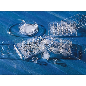 Transwell-膜嵌套，24mm膜直径，8.0um，PC(聚碳酸酯）膜，TC表面，灭菌，6个/包/4包/箱，TW,24MM,8.0UM,TCT,PC,S,6PL/24，型号3428，Corning，康宁