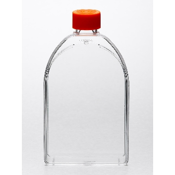 培养瓶，150cm²，，透气盖，CellBIND表面，灭菌，，5个/包/10包/箱，Corning CellBIND Surface,FLASK,150CM2,CANTED,PS,VENT CAP,S,BK,5/50，型号3291，Corning，康宁