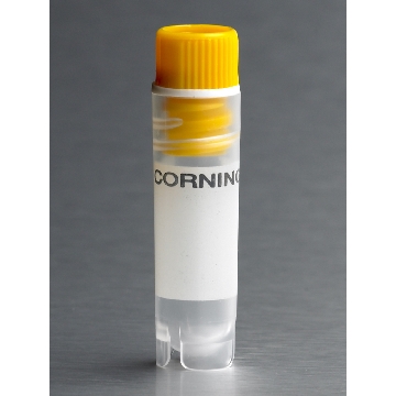 冻存管，内螺纹黄盖，VIAL,CRYOGENIC,INT-THRD,2.0mL,RD,SLF-STDNG,W/WSHR,YELLOW CAP,S,BK,50/500，型号431417，Corning，康宁