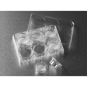Transwell-膜嵌套，24mm膜直径，3.0um，PC(聚碳酸酯）膜，TC表面，灭菌，6个/包/4包/箱，TW,24MM,3.0UM,TCT,PC,S,6PL/24，型号3414，Corning，康宁