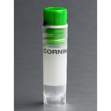 冻存管，VIAL,CRYOGENIC,INT-THRD,2.0mL,RD,SLF-STDNG,W/WSHR,GREEN CAP,S,BK,50/500，型号431419，Corning，康宁
