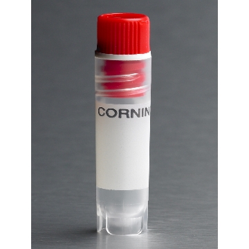 VIAL,CRYOGENIC,INT-THRD,2.0ML,RD,SLF-STDNG,W/WSHR,RED CAPS,S, BK.50/500，50个/包/10包/箱，型号431420，Corning，康宁