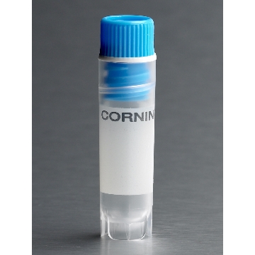 VIAL,CRYOGENIC,INT-THRD,2.0ML,RD,SLF-STDNG,W/WSHR,BLUE CAPS,S,BK,50/500，50个/包/10包/箱，型号431418，Corning，康宁