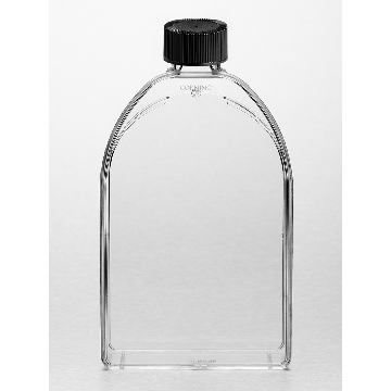 培养瓶，150cm²，直角斜颈（正方斜口），聚酯盖，PS（聚苯乙烯）材质，灭菌，大包装，5个/包/10包/箱，FLASK,150CM,CANT,PHEN,PS,S,BK,5/50，型号430824，Corning，康宁