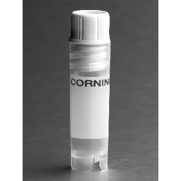 冻存管，内螺旋白色盖，VIAL,CRYOGENIC,INT-THRD,2.0mL,RD,SLF-STDNG,W/WSHR,WHT CAPS，型号431421，Corning，康宁