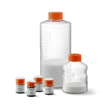微载体，CORNING UNTREATED MICROCARRIERS,10G,S,IND,1/1，型号3772，Corning，康宁