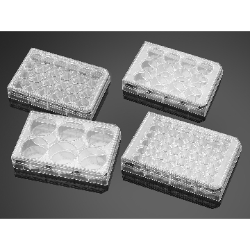 一次性无菌移液透气盖配件，DISPOSABLE SIDE-ARM ASSEMBLY,MPC,1L,1/4IDX 3/8 OD,45MM,S,IND, 1/2，型号3545，Corning，康宁
