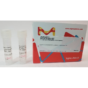 MULTI-seq Lipid-Modified Oligos，30REACTIONS，LMO001-30RXN，Sigma