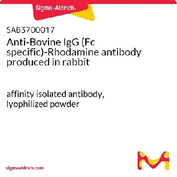 Anti-Bovine IgG (Fc specific)-Rhodamine antibody produced in rabbit，1.5MG，SAB3700017-1.5MG，Sigma