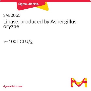 脂肪酶，来自于米曲霉（Aspergillus oryzae），50ML，SAE0065-50ML，Sigma