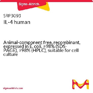 IL-4 人，20UG，SRP3093-20UG，Sigma