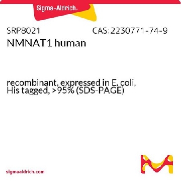 NMNAT1 human，10UG，SRP8021-10UG，Sigma