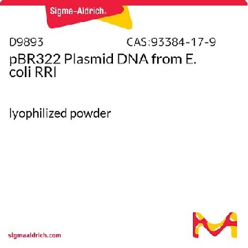 pBR322质粒DNA 来源于大肠杆菌  RRI，1UNIT，D9893-1UN，Sigma