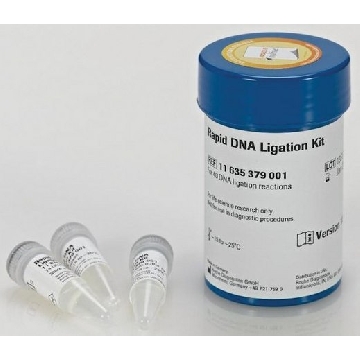 快速 DNA 连接试剂盒，1KIT，11635379001，Roche