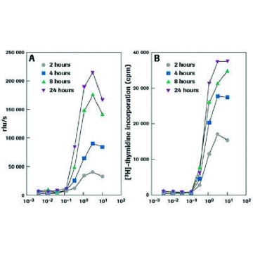 细胞增殖ELISA，BrdU（化学发光法），1000TESTS，11669915001，Roche