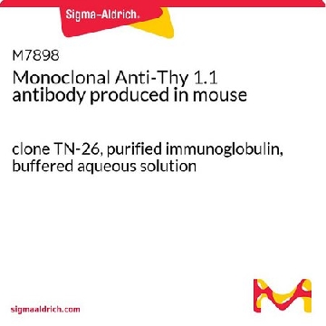 单克隆抗  Thy 1.1 小鼠抗，0.25ML，M7898-.25ML，Sigma