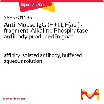 Anti-Mouse IgG (H+L), F(ab′)₂ fragment-Alkaline Phosphatase antibody produced in goat，500UG，SAB3701133-500UG，Sigma