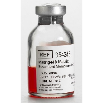 Corning® Matrigel® 基底膜基质，1EACH，CLS354248-1EA，Sigma