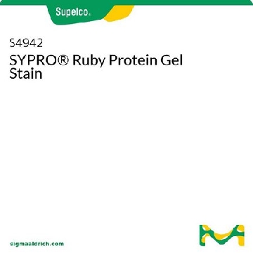 SYPRO ™ 红宝石蛋白凝胶染色剂，1L，S4942-1L，Supelco
