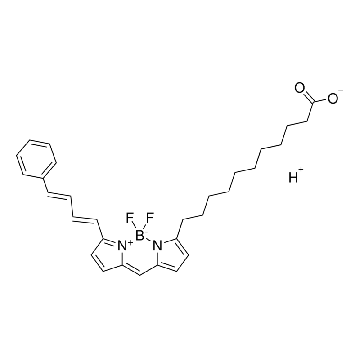 C11-BODIPY581/591，5MG，SML3717-5MG，Sigma