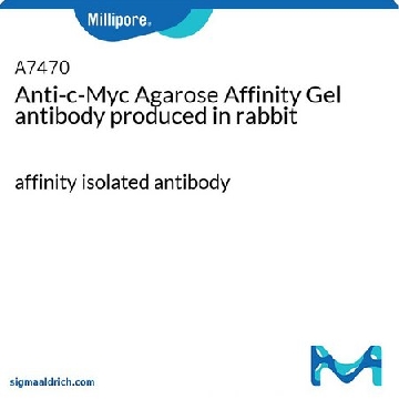 Anti-c-Myc 琼脂糖亲和凝胶 兔抗，1ML，A7470-1ML，密理博