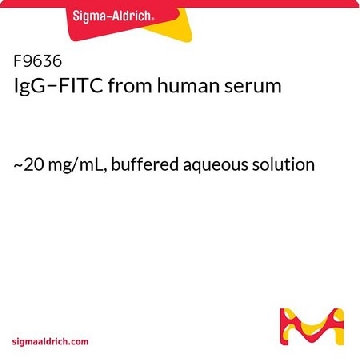 IgG−FITC 来源于人类血清，1ML，F9636-1ML，Sigma