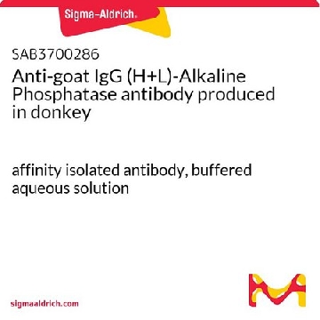 Anti-goat IgG (H+L)-Alkaline Phosphatase antibody produced in donkey，1MG，SAB3700286-1MG，Sigma