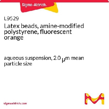 乳胶珠，胺改性聚苯乙烯，荧光橙，1ML，L9529-1ML，Sigma