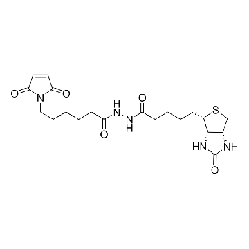 生物素-马来酰亚胺，25MG，B1267-25MG，Sigma