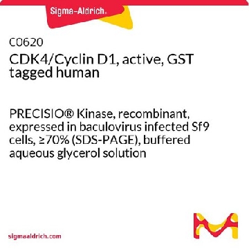 CDK4/Cyclin D1, active, GST tagged human，10UG，C0620-10UG，Sigma