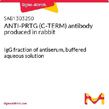 ANTI-PRTG (C-TERM) antibody produced in rabbit，400UL，SAB1303250-400UL，Sigma