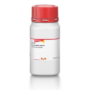 血红蛋白 人，1G，H7379-1G，Sigma
