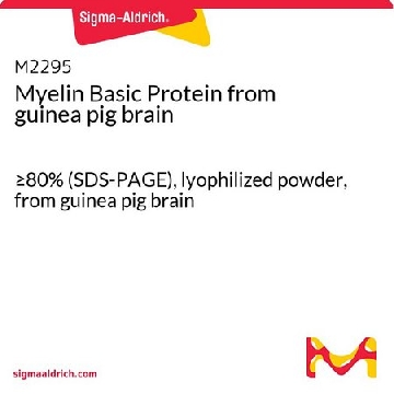 髓鞘碱性蛋白 来源于天竺鼠大脑，1MG，M2295-1MG，Sigma