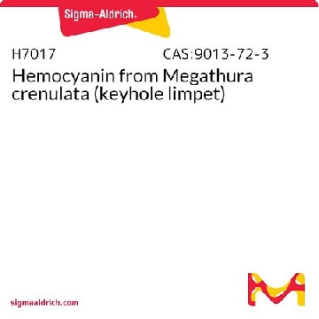 血蓝蛋白 来源于大锁孔帽贝 （透孔螺），50MG，H7017-50MG，Sigma