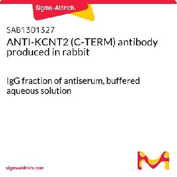ANTI-KCNT2 (C-TERM) antibody produced in rabbit，400UL，SAB1301327-400UL，Sigma